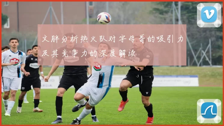 文胖分析热火队对字母哥的吸引力及其竞争力的深度解读